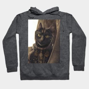 Mystic Mage cat: Sage Hoodie